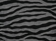 Animal Print Zebra Black and Grey