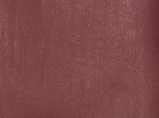 Aqua Marine Burgundy