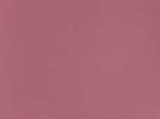 Aqua Marine Rose