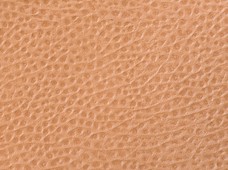 Boca Sand