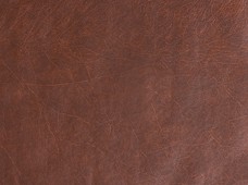 Buffalo Brown Print
