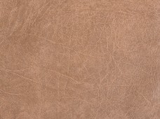 Buffalo Camel Print