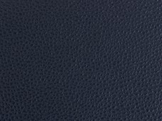 Caravelle Dark Blue
