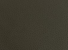 Caravelle Green