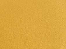 Caravelle Mustard
