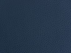 Caravelle Navy