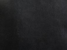 Castillian (Unsupported) Black