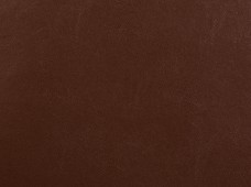 Castillian (Unsupported) Brown