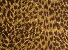 Cheeta Coffee