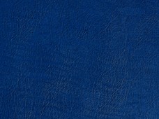 Clasico Royal Blue