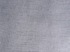 Clasico Silver