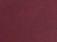 Cordoba Burgundy Print