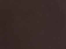 Cordoba Solid Brown