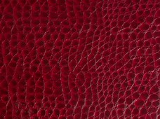 Crocco (Unsupported) Burgundy