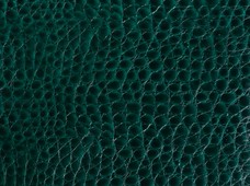 Crocco (Unsupported) H. Green