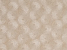 Cyclone Oyster