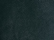 Deluxe Green