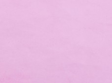 Tinted Clear Pink