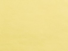 Tinted Clear Yellow