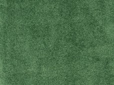 Euro Moss