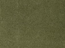 Euro Olive
