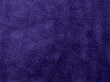 Euro Purple