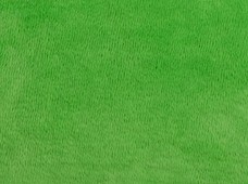 Fluffy Lime