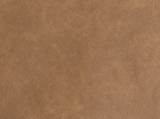 Galaxy Camel Print