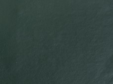 Galaxy Forest Green