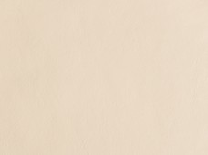 Galaxy Ivory