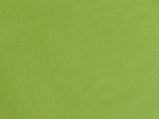 Galaxy Lime