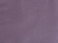 Greenland Lavender