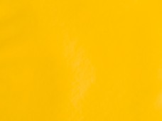 Greenland Yellow