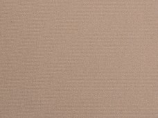 Headliner Beige