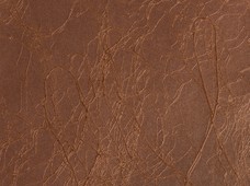 Lightning Bronze