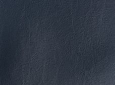 MP Navy