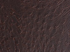 Ostrich Brown