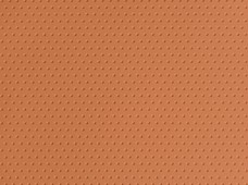 Polka Tan