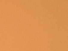 Poly Poplin Dijon