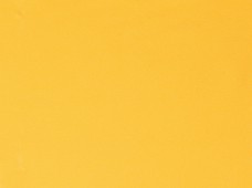 Poly Poplin Gold