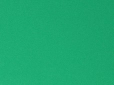 Poly Poplin Spring Green