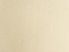 Promotional Beige