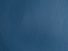 Promotional D. Blue
