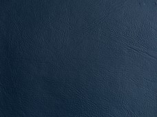 Promotional Navy