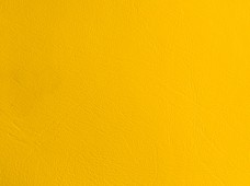Promotional Yellow