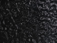 Ricco Black
