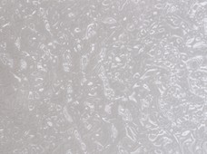 Ricco Silver