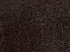 Saloon Brown