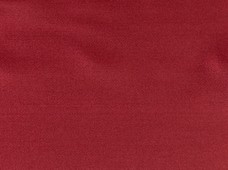 Satin Sity Berry