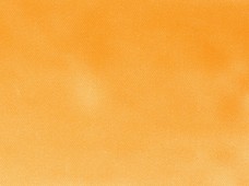 Satin Sity Gold